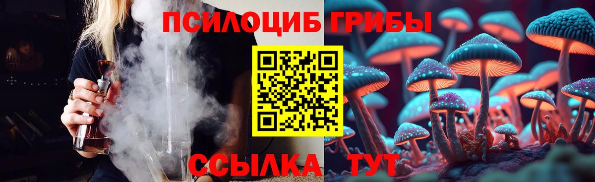 Саранск  Галлюциногенные грибы MAGIC MUSHROOMS  Вход с VPN 